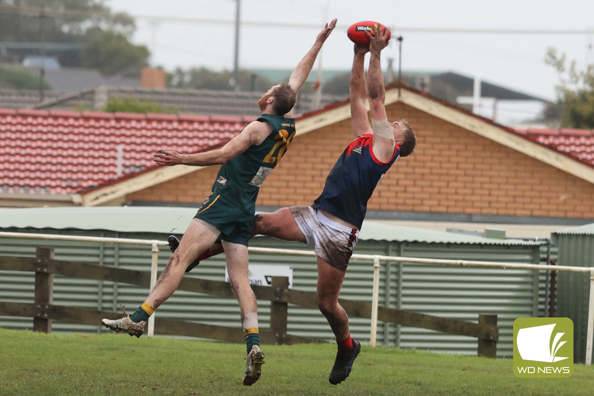 Tough, wet conditions for Demons - feature photo