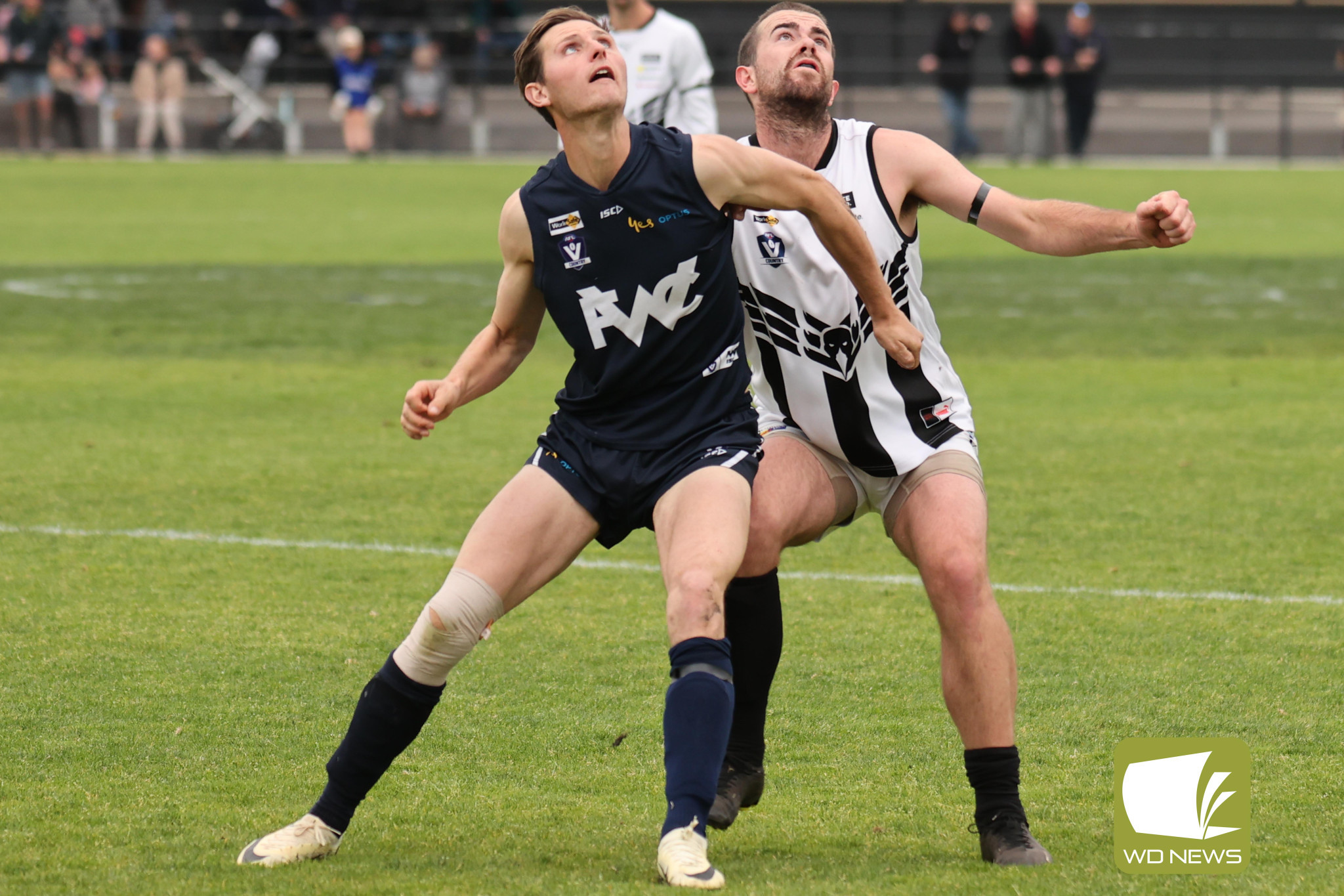Bye this weekend for Magpies - feature photo