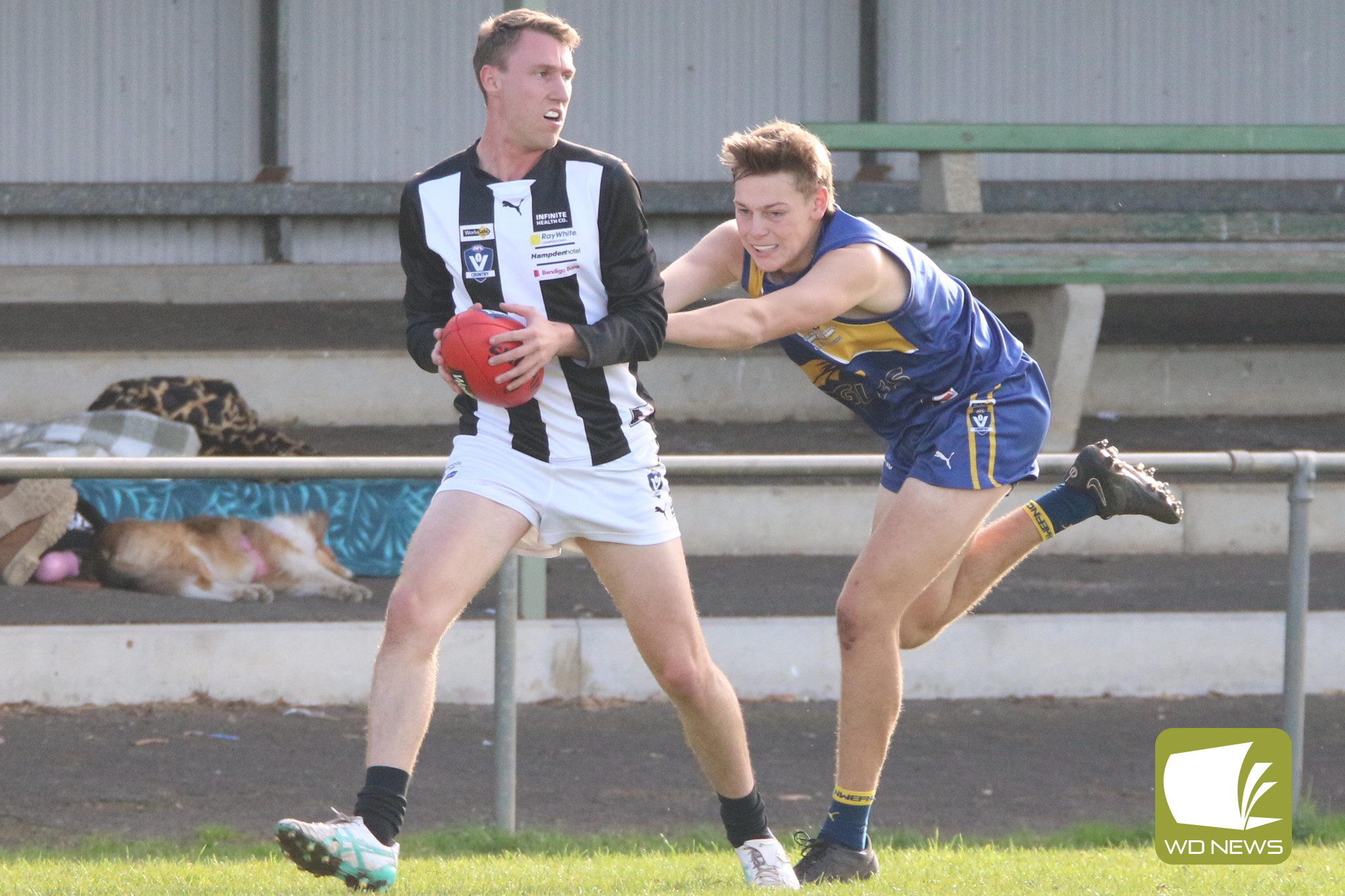 Magpies look ahead - feature photo