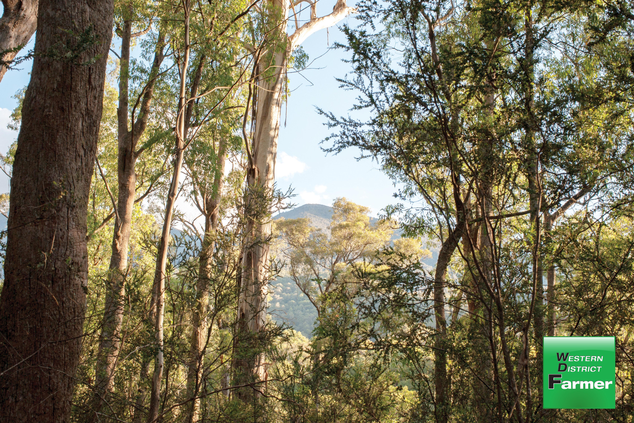 Bushfire risk management underway - feature photo