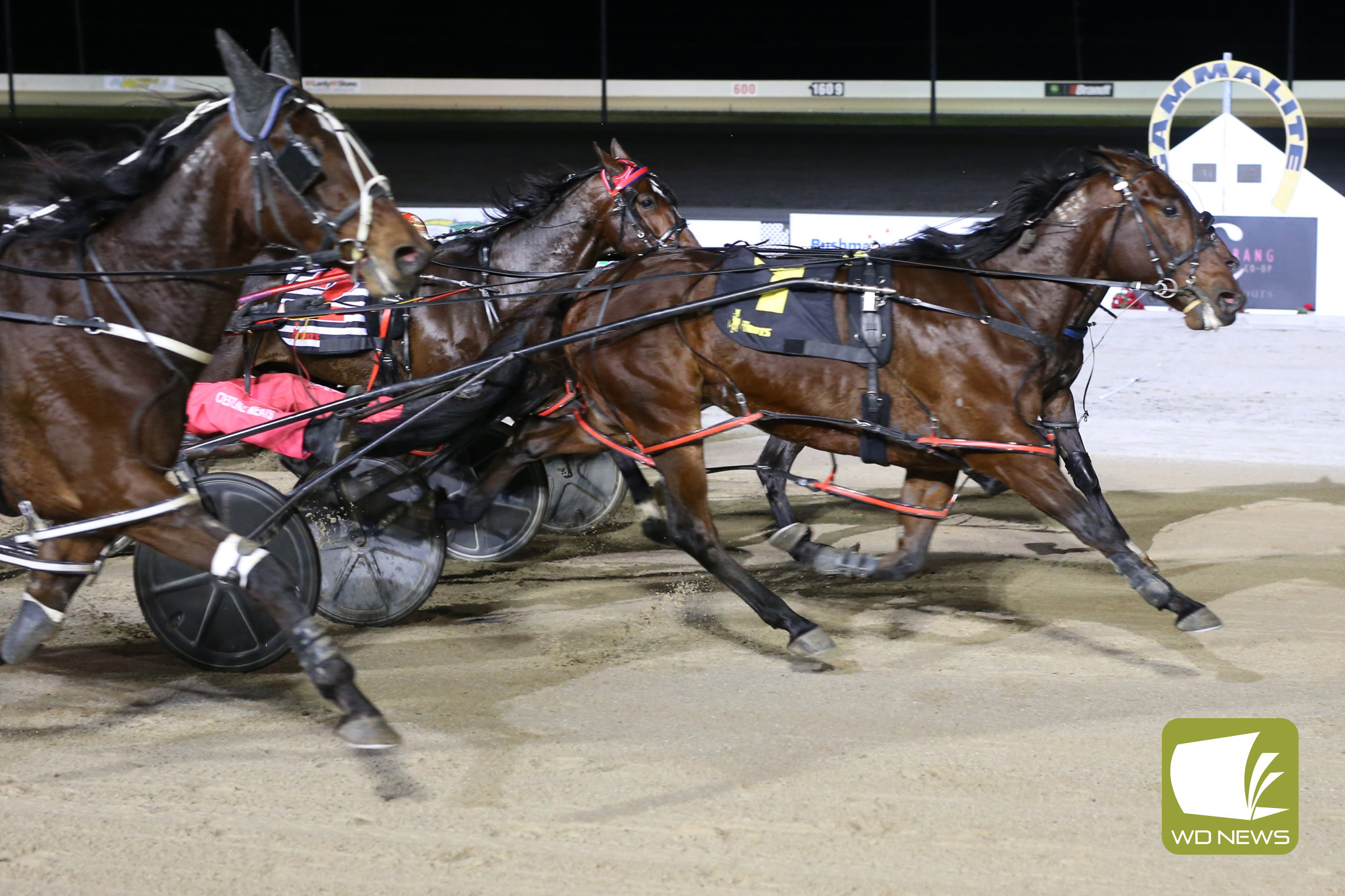 Race 3 winner Browniesatmidnight driven by Lochie Cook.