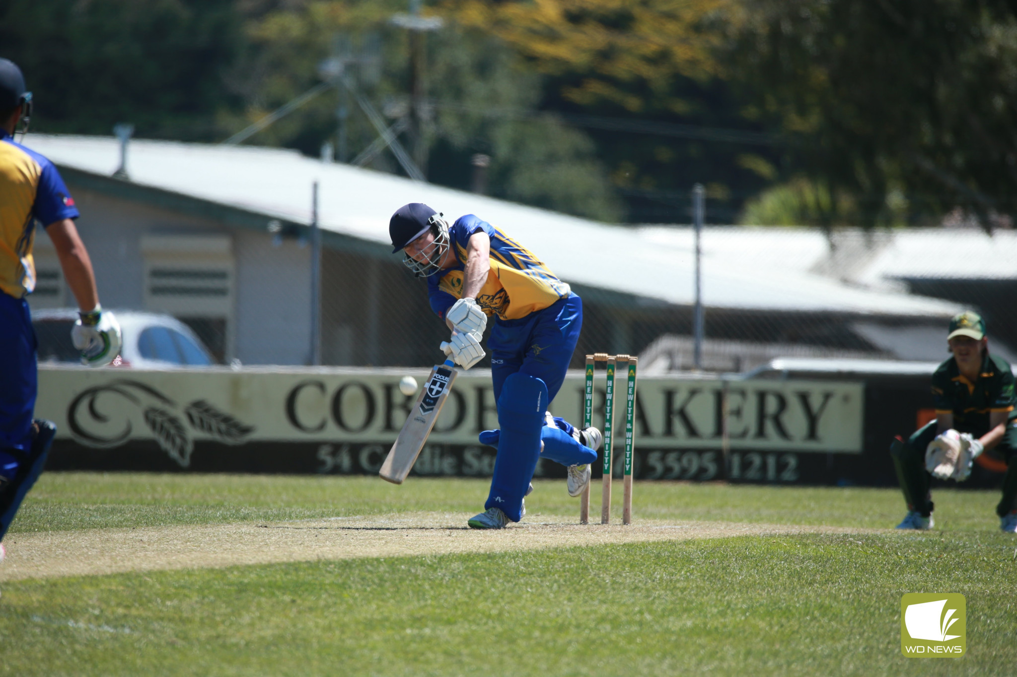Knights shine at home - feature photo