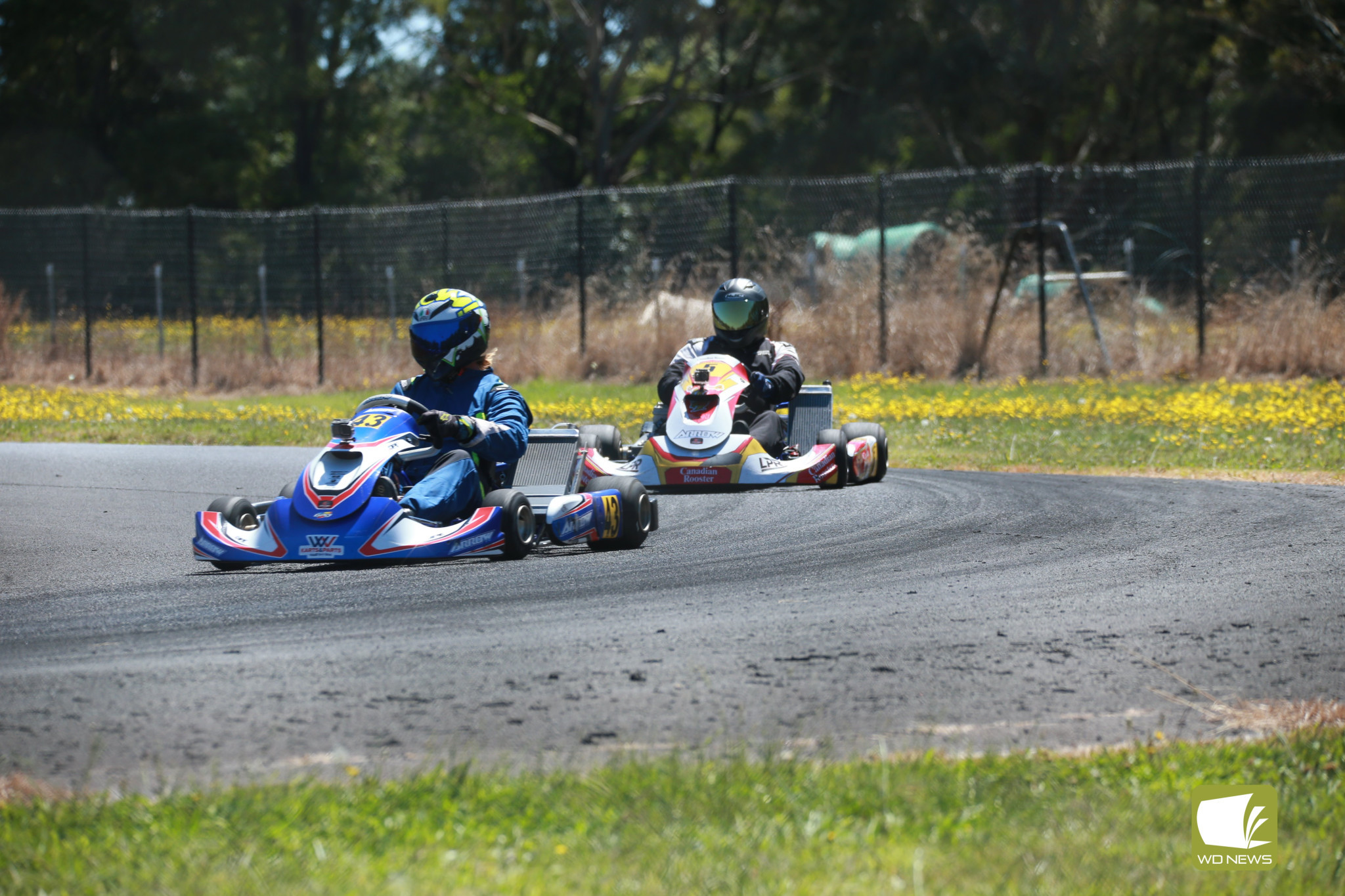 Go karts in action - feature photo