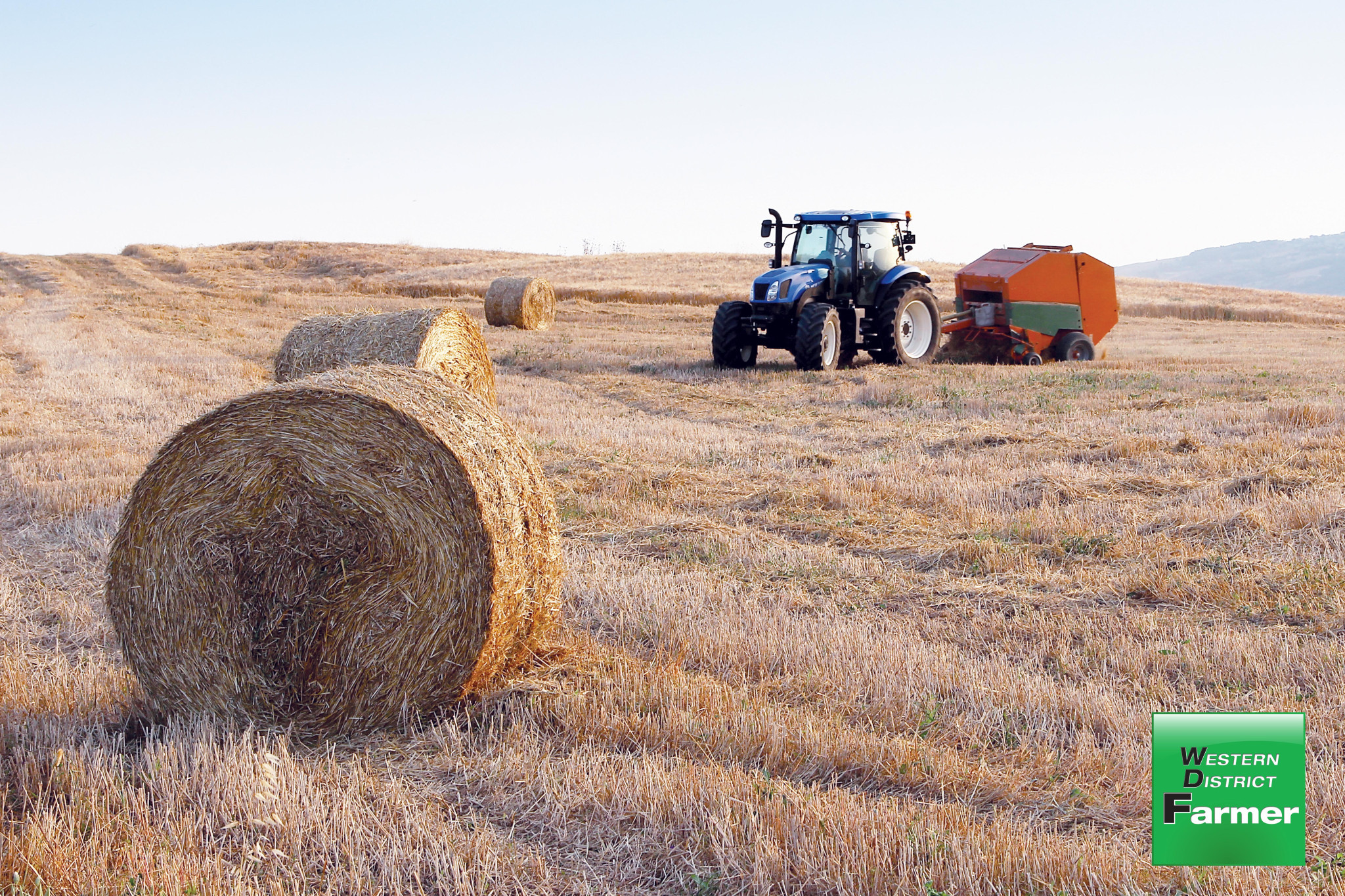 Is hay your best option this year? - feature photo