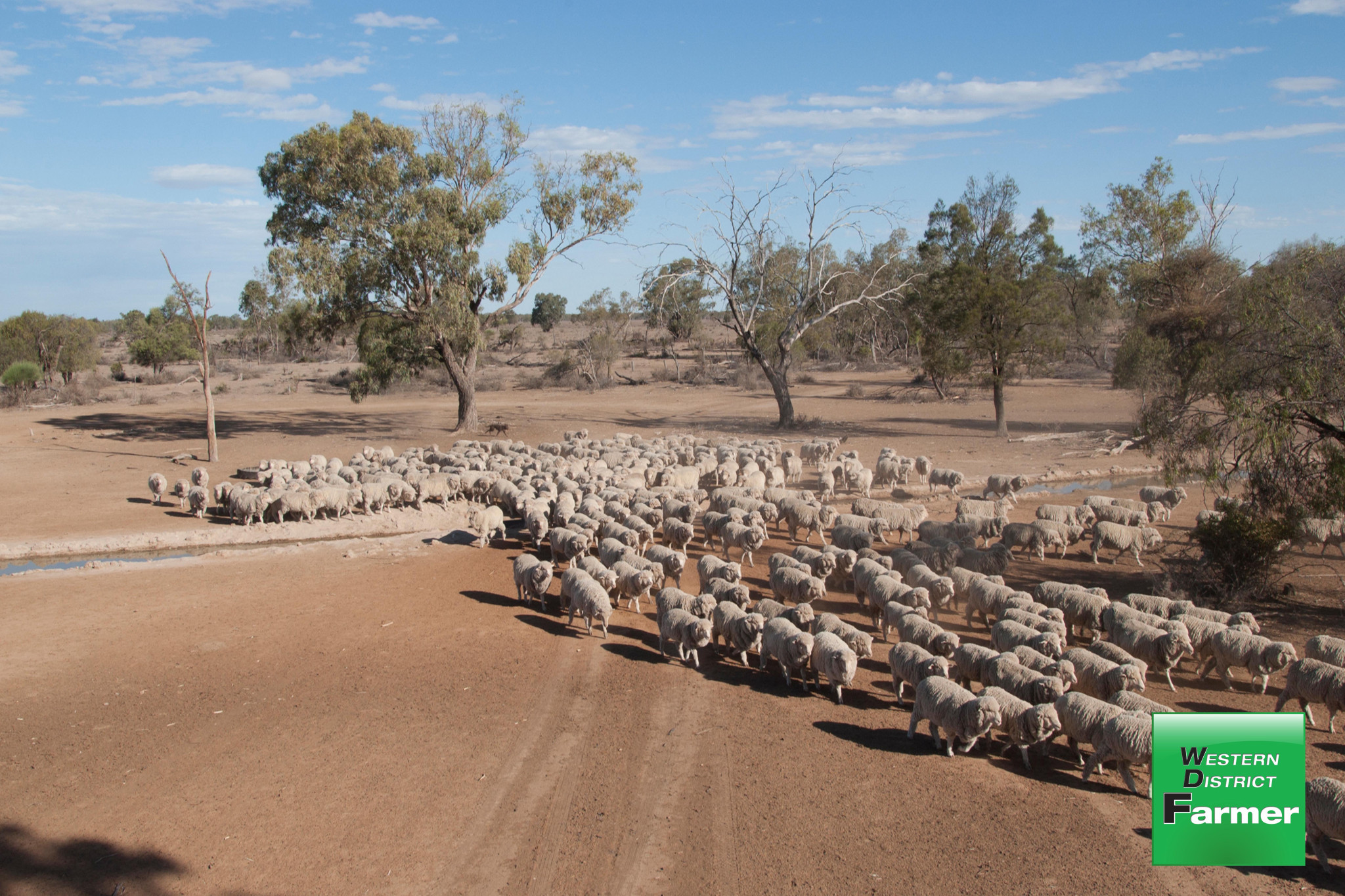 Rabobank announces rate cut - feature photo