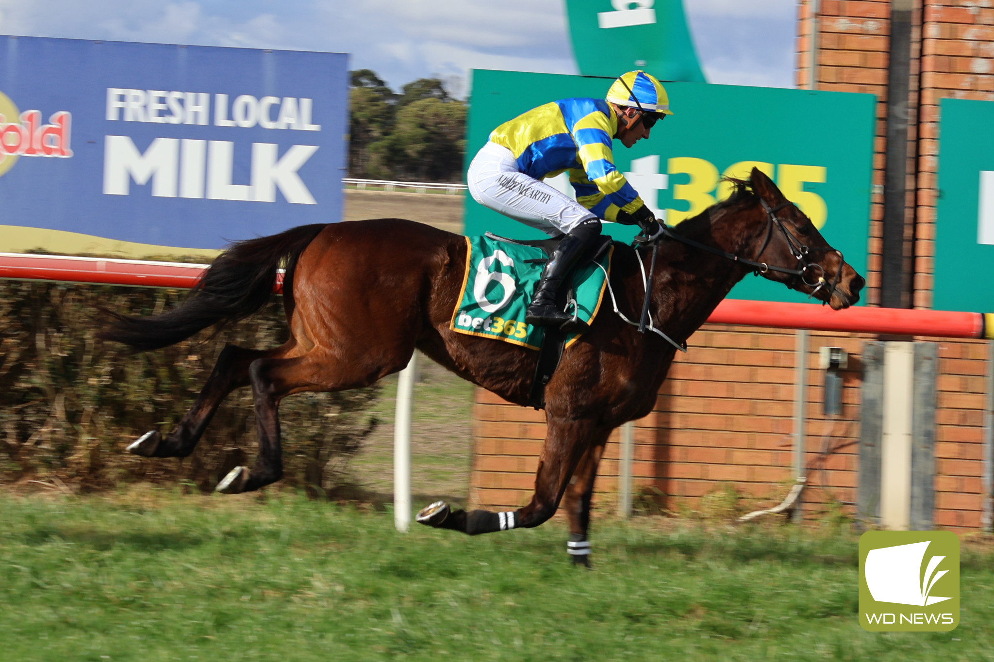 Terang jumps - feature photo