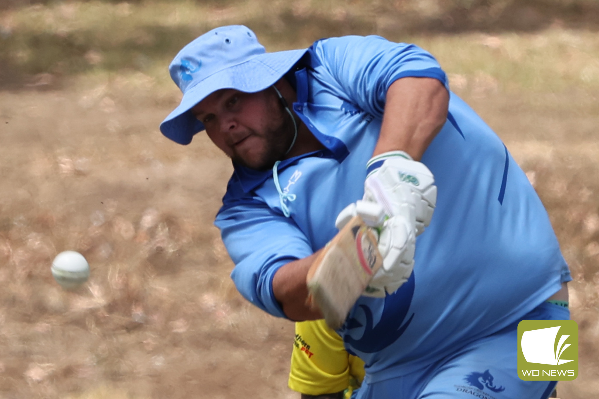 Big day at the crease for Boyle's - feature photo