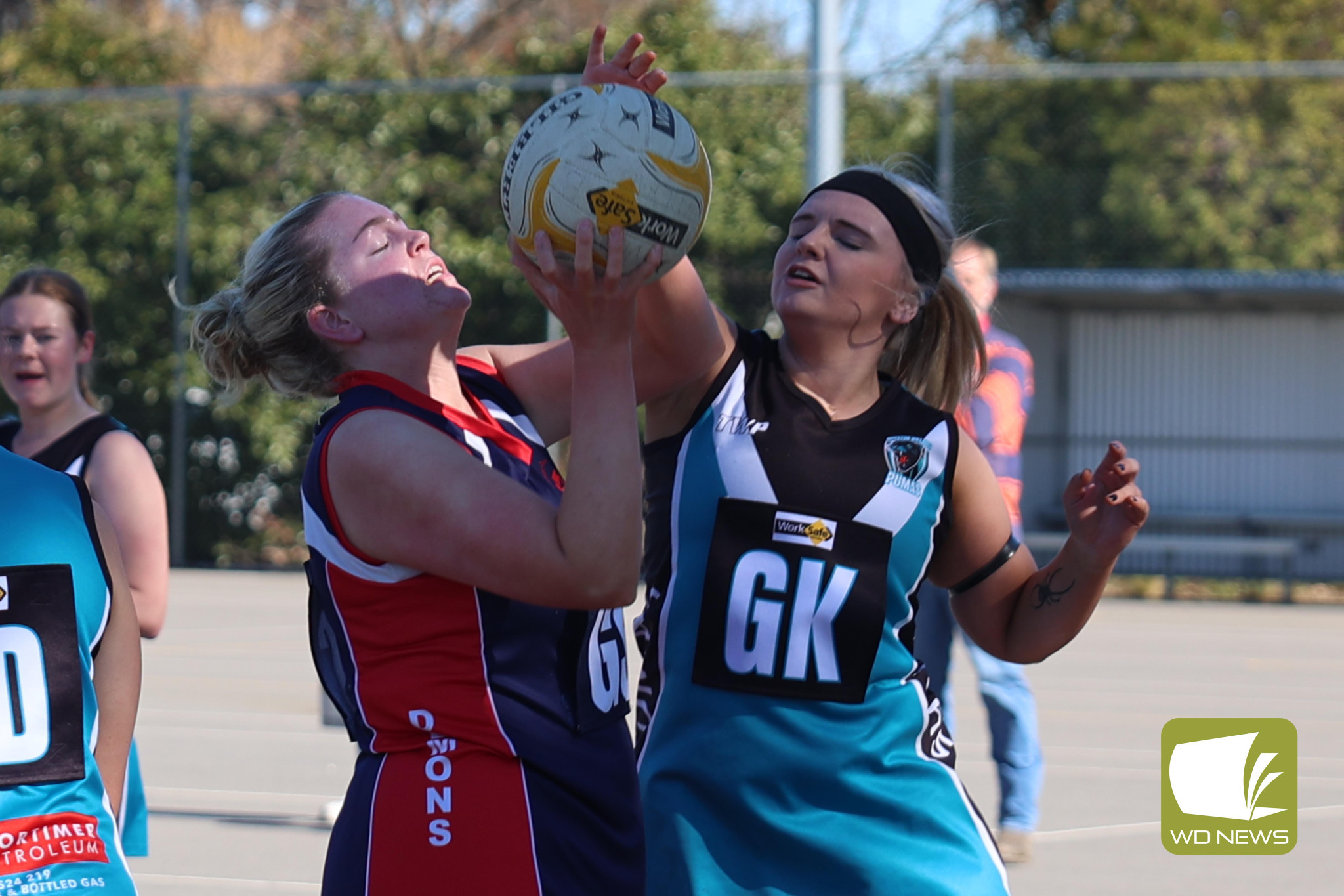 Constable bags 14 in big win for Dees - feature photo