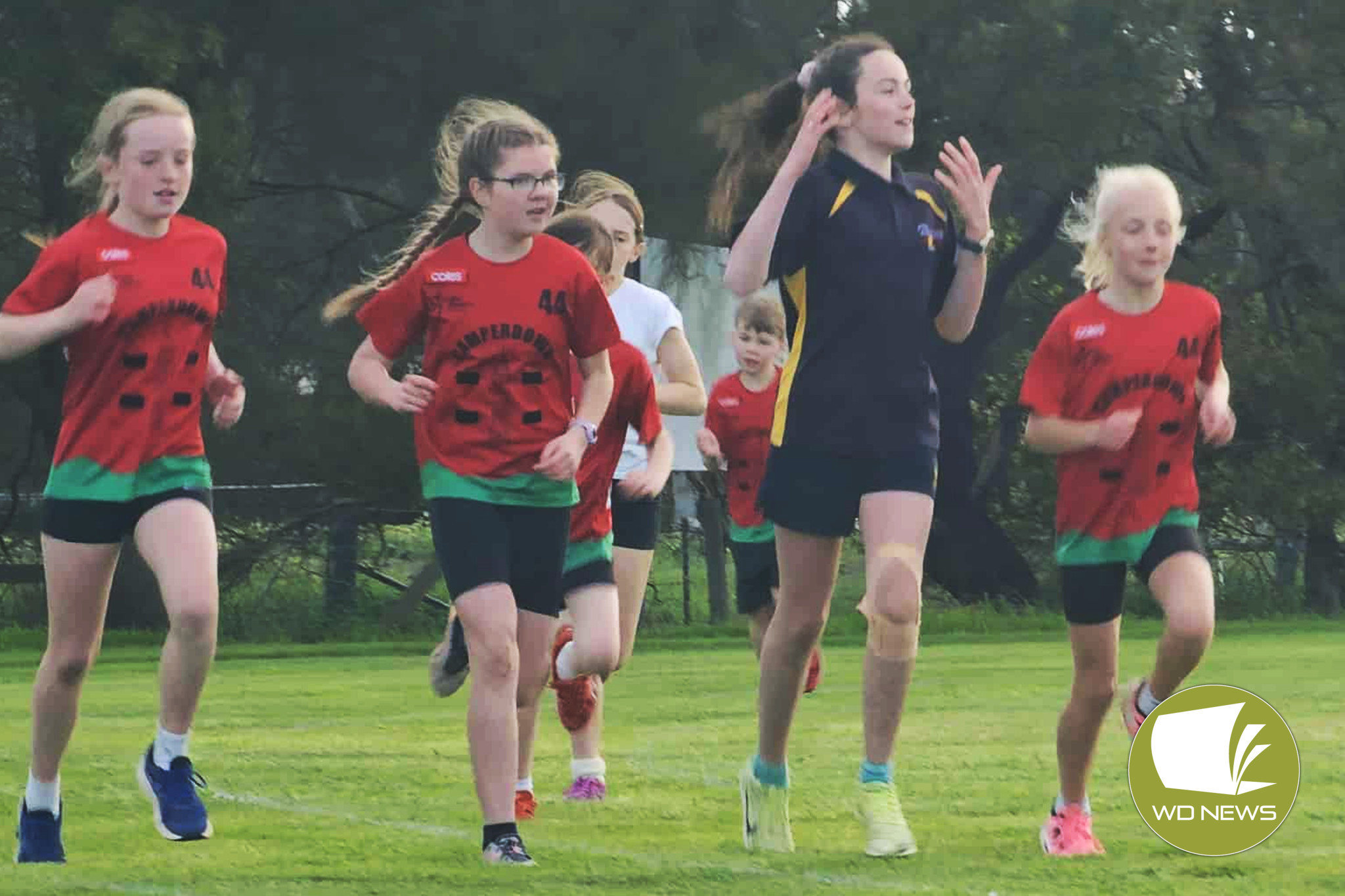 Little athletics returns - feature photo