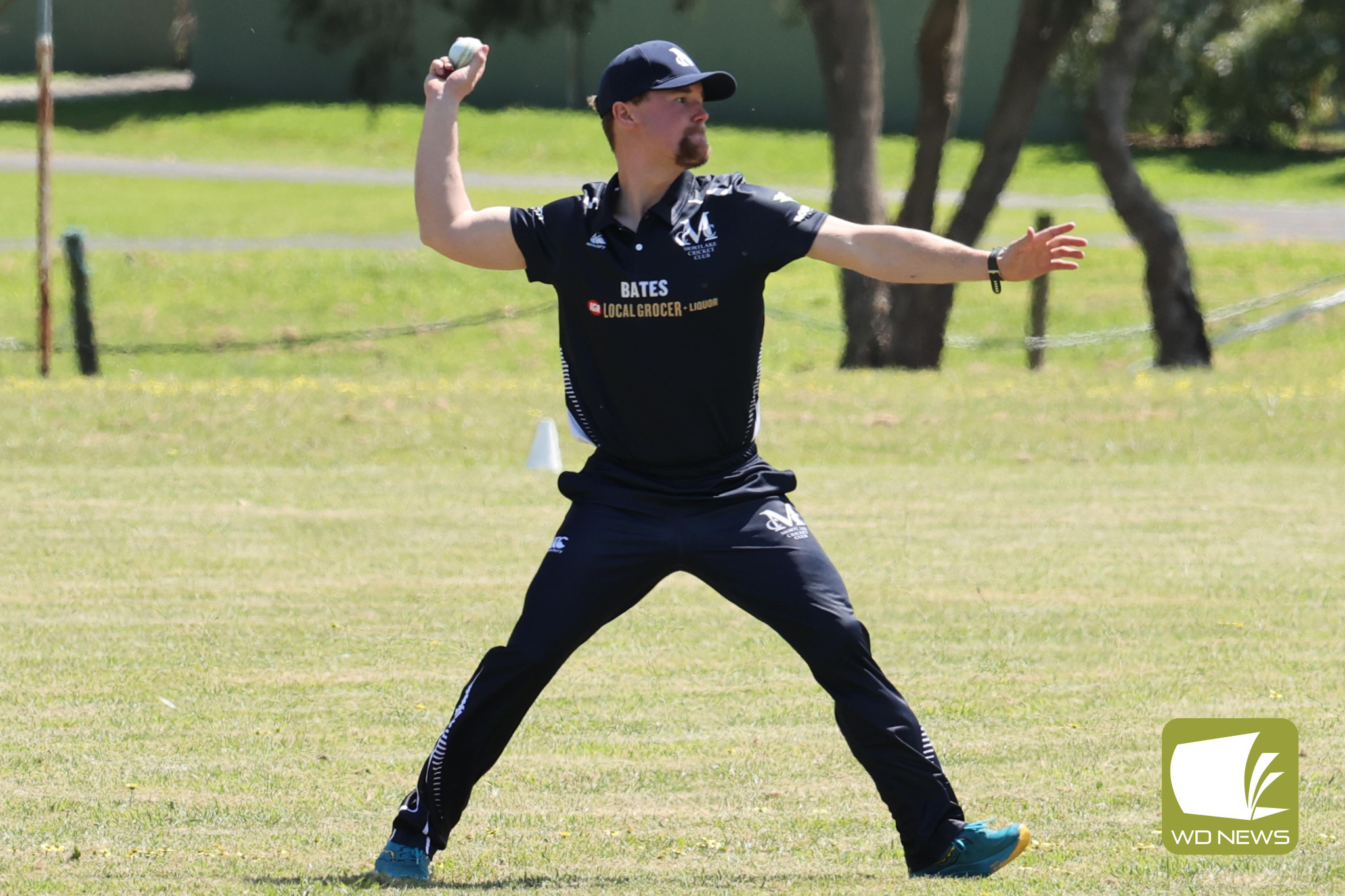 Local Cricket Action - feature photo