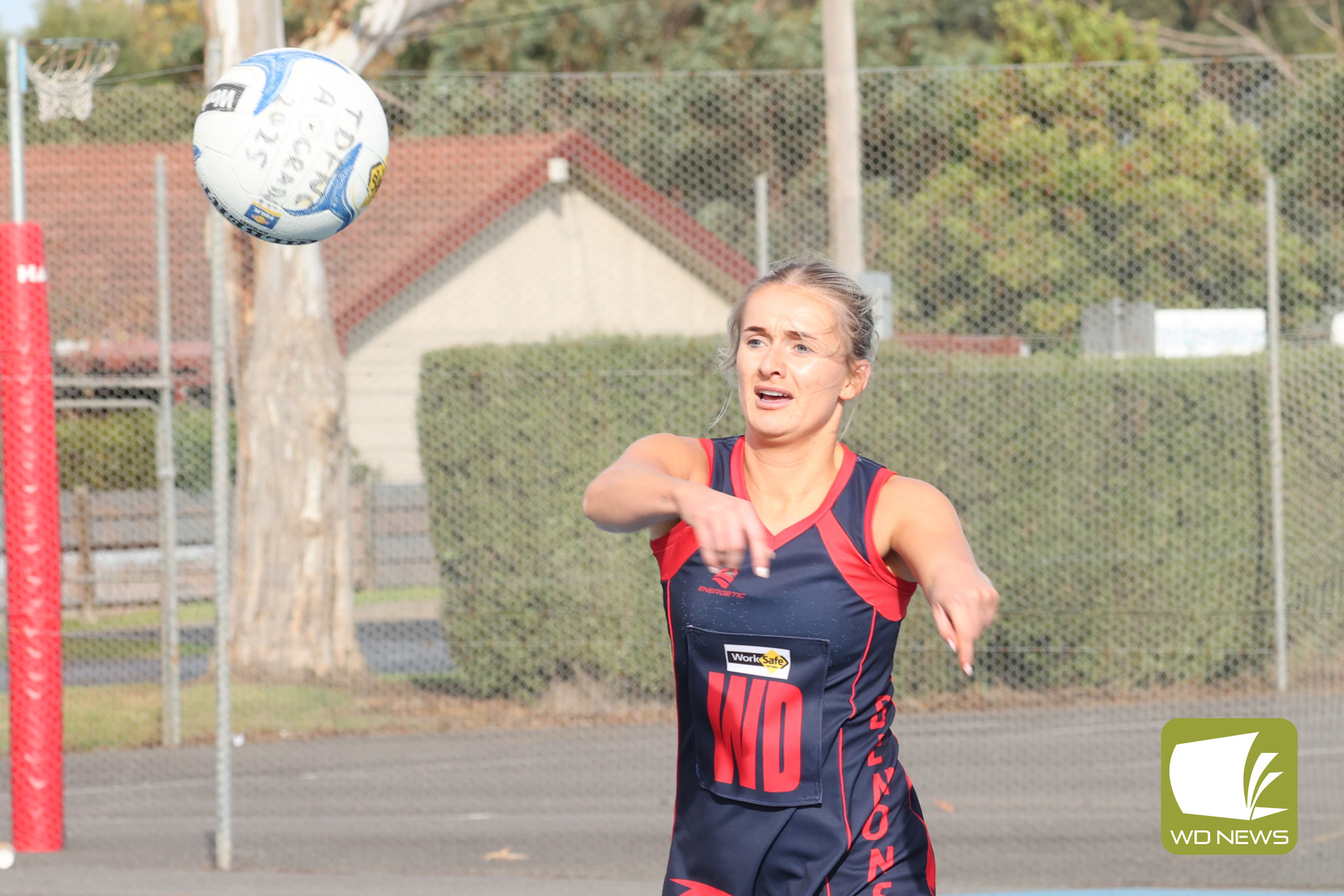 On court pressure too strong for Demons - feature photo
