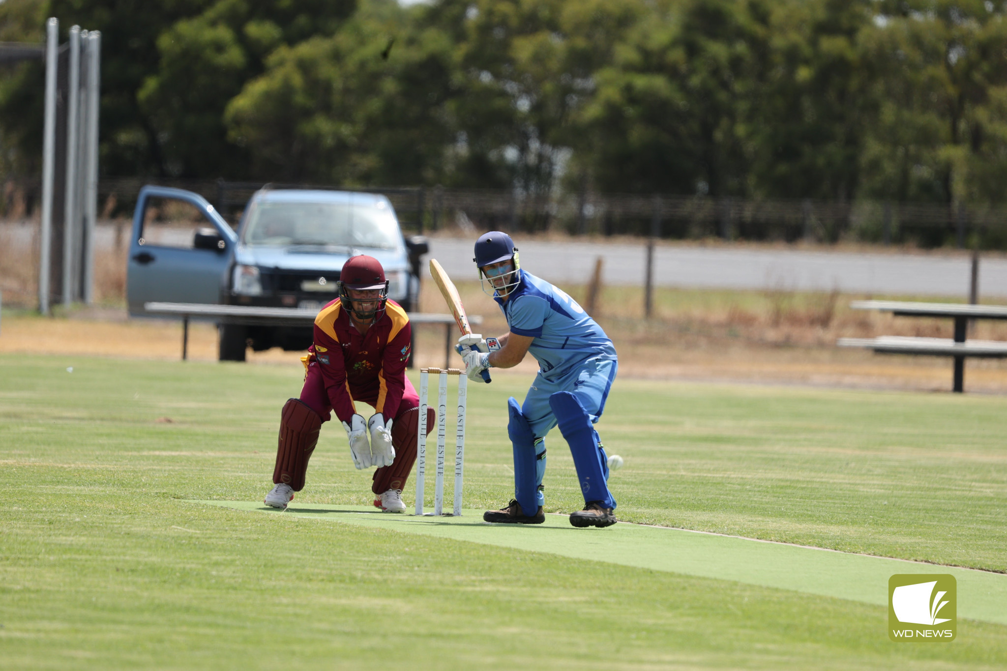 Local Cricket Action - feature photo
