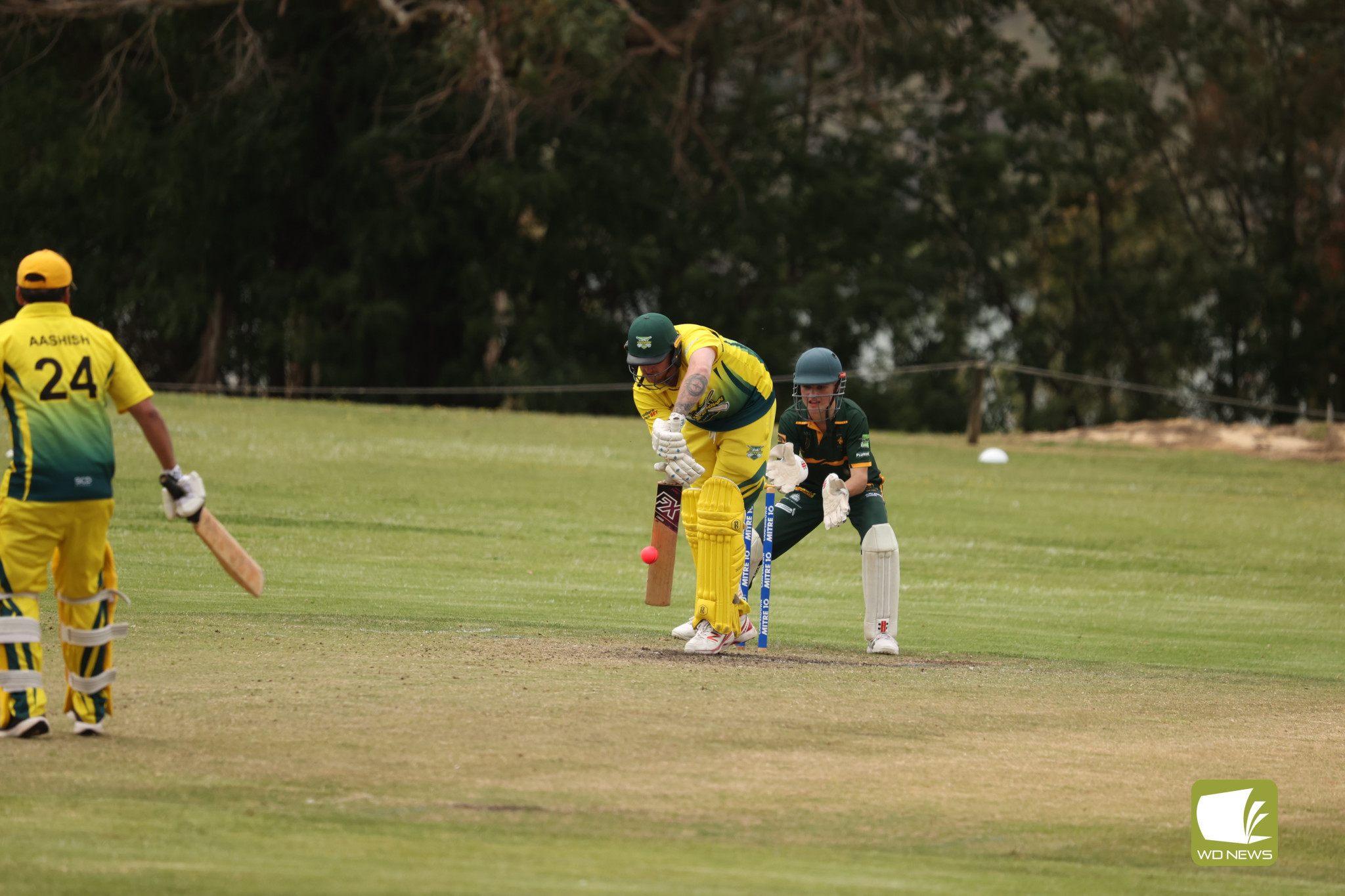 Local Cricket Action - feature photo