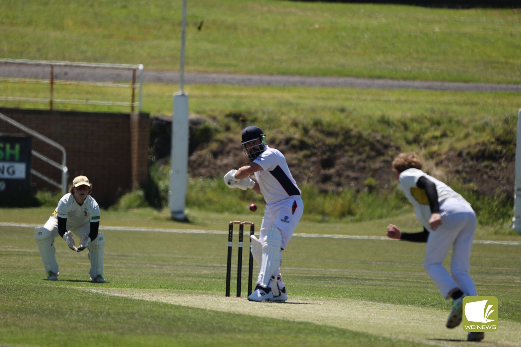 Local Cricket Action - feature photo