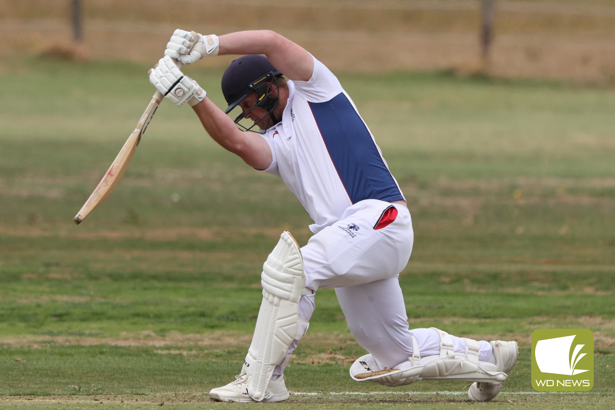 Local Cricket Action - feature photo