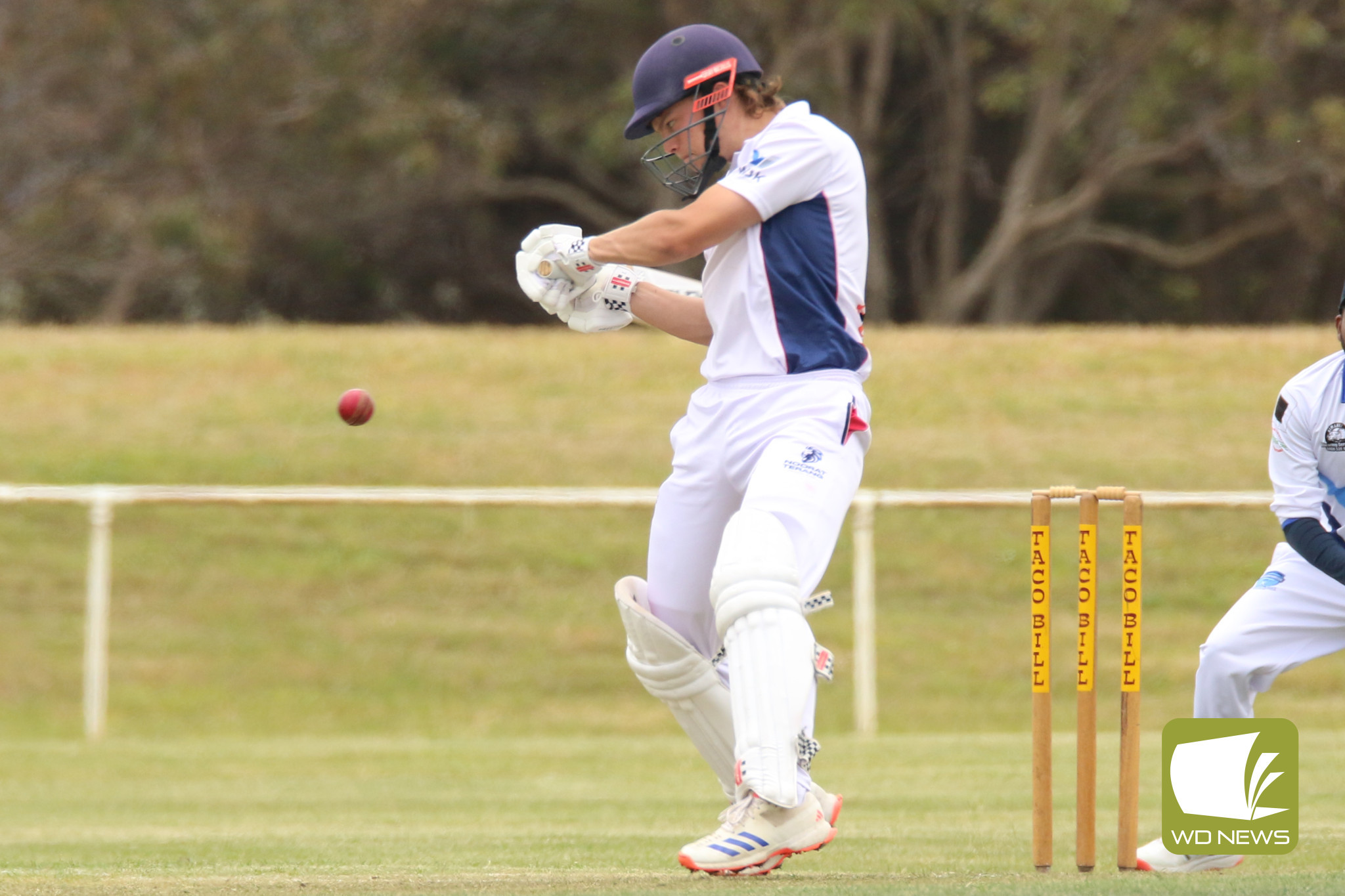 Local Cricket Action - feature photo