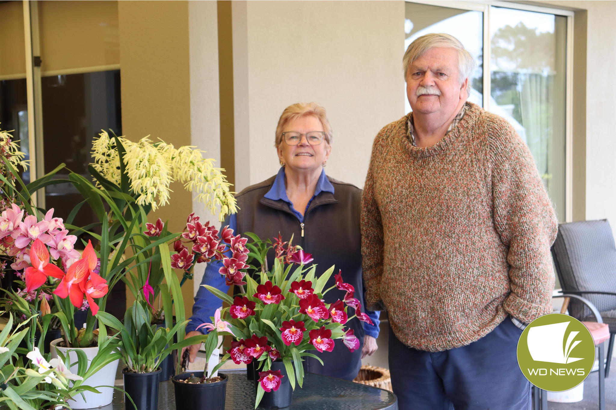 Flowers galore: This weekend the Cobden Civic Hall will host the annual Cobden Orchid Show. Pictured are Cobden and District Orchid Club life member Denise Robertson and secretary John Whitewood.