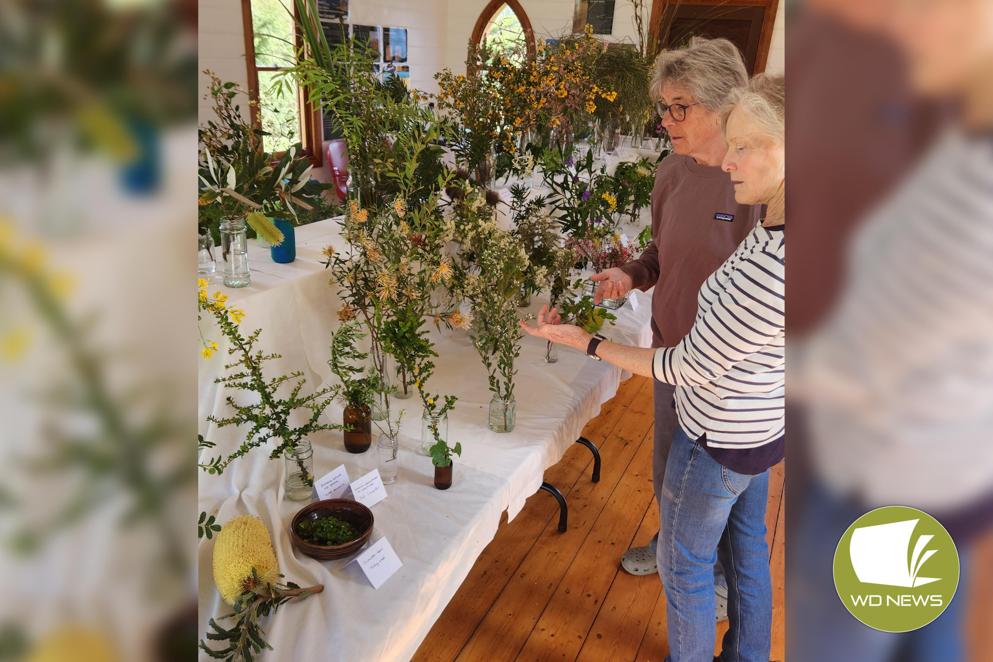 Spring blooms: The Port Campbell Flower Show displayed native flowers from across the coast.