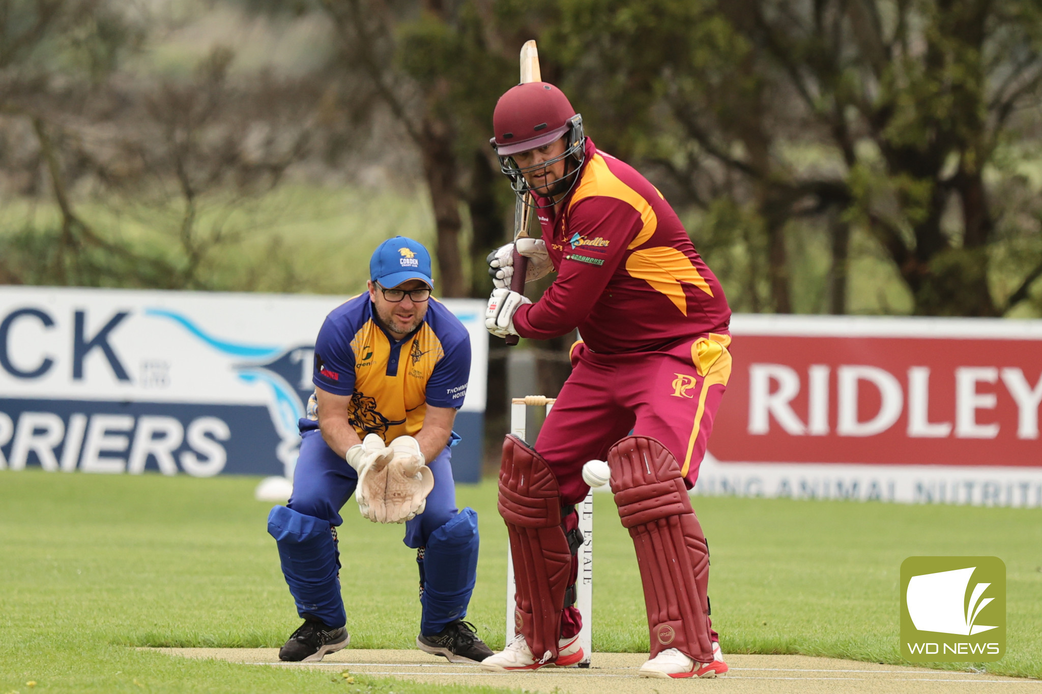 Local Cricket Action - feature photo