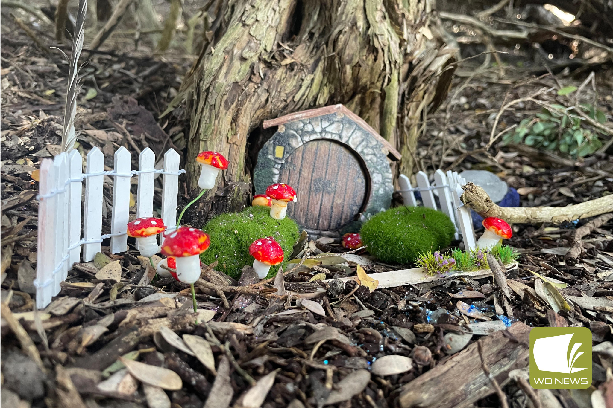 Hidden world: Port Campbell residents have been delighted with a special fairy trail nestled away in a secret location in the town. Have you found it yet?