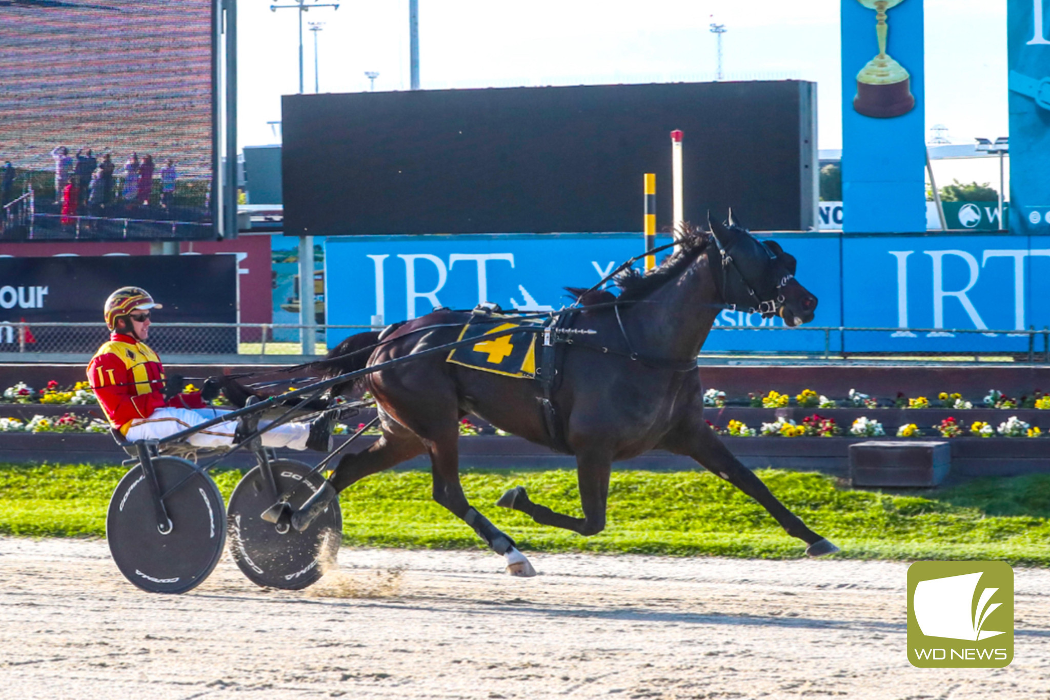 Keayang Zahara will make a special guest appearance at Terang Harness Racing Club’s night of nights next Friday.