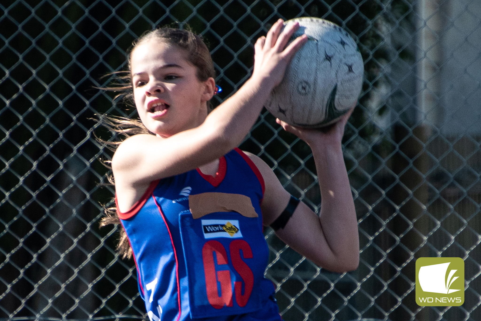 Sadie listed in talent identification program - feature photo