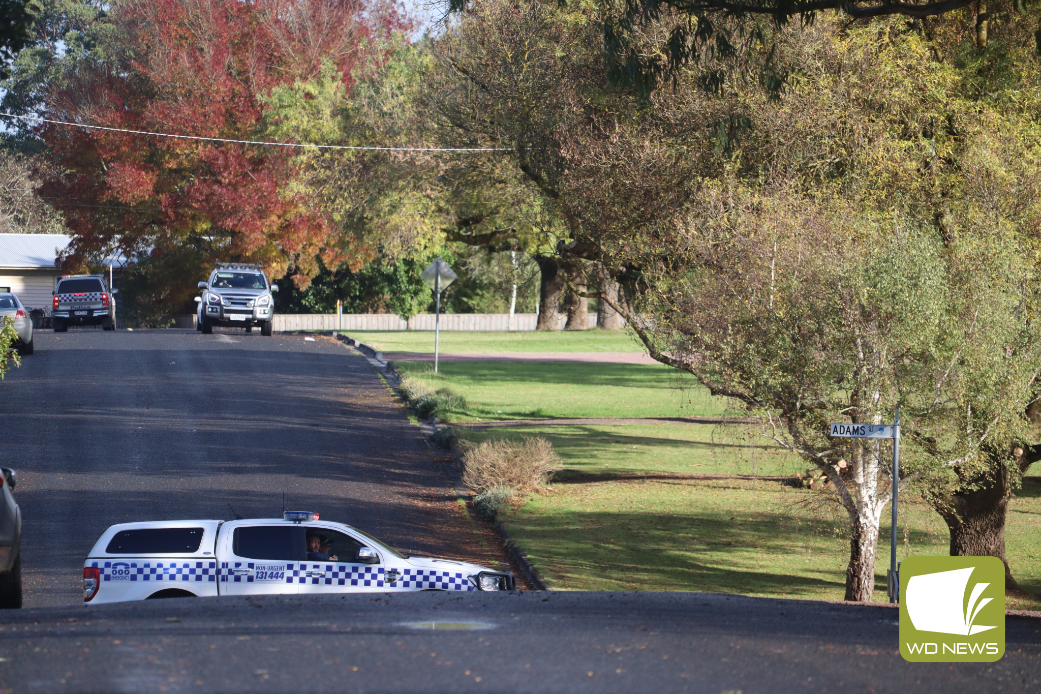 Police attended the Lake Cobden area today following reports of an alleged shooting in the early hours of the morning.