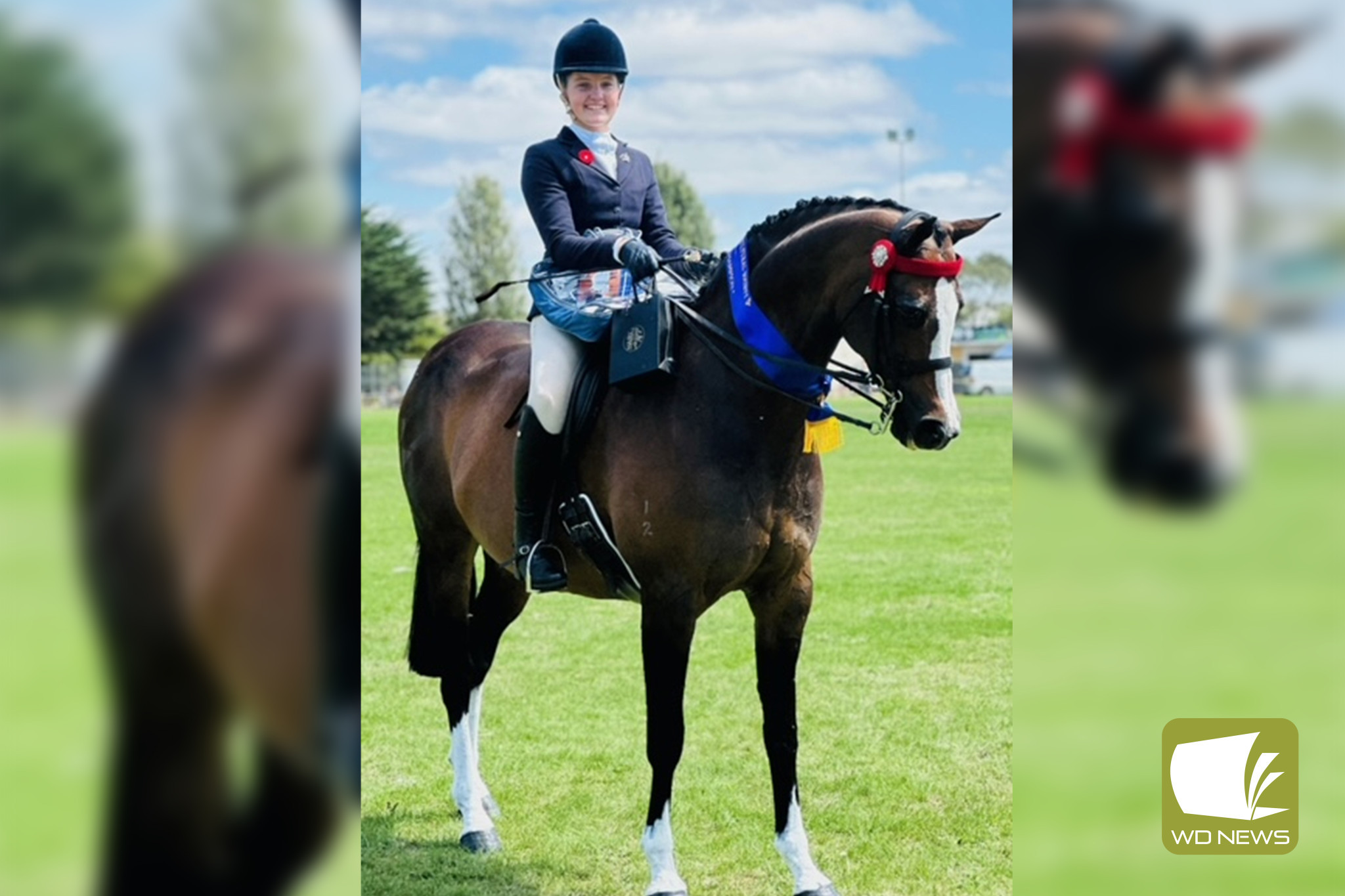 Camperdown College captain Stella Horspole has once again dominated in the ring, bringing home another overall champion sash – this time from the Heytesbury Show.