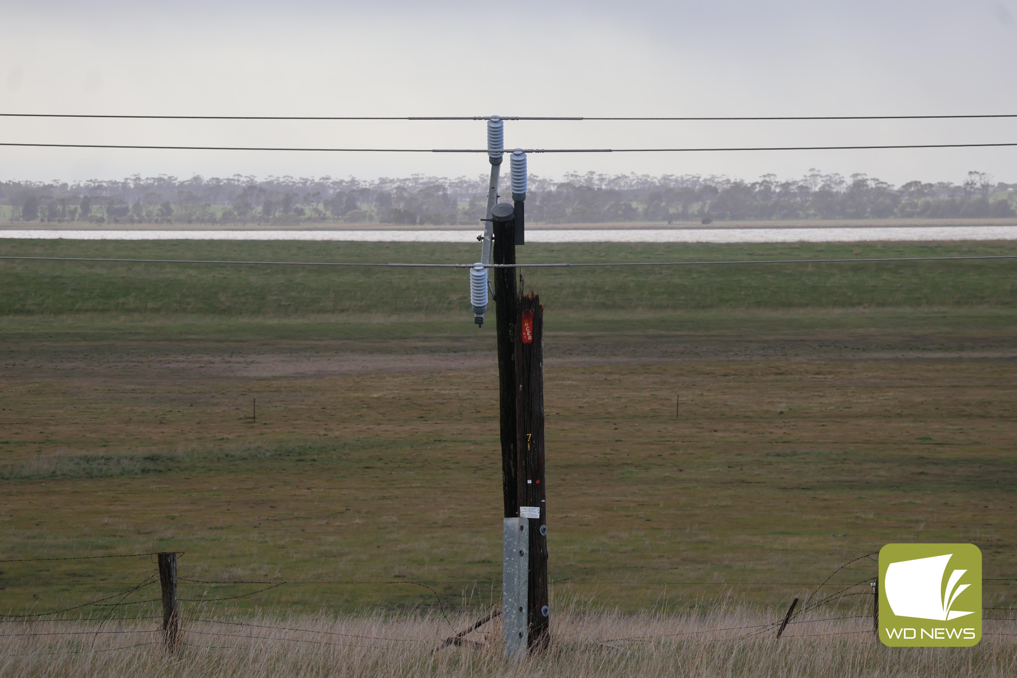 Coming down: Powerlines and trees were blown down in the winds that continued from last week’s cold front.