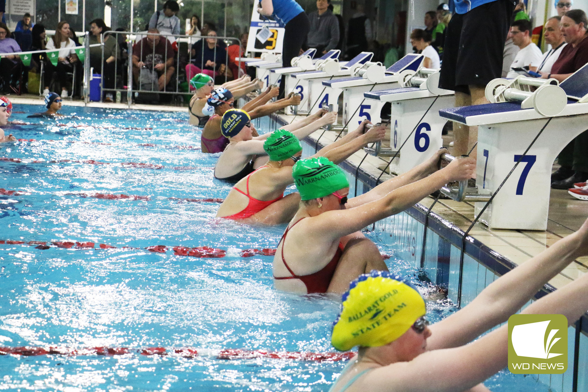 Swim carnival again popular - feature photo
