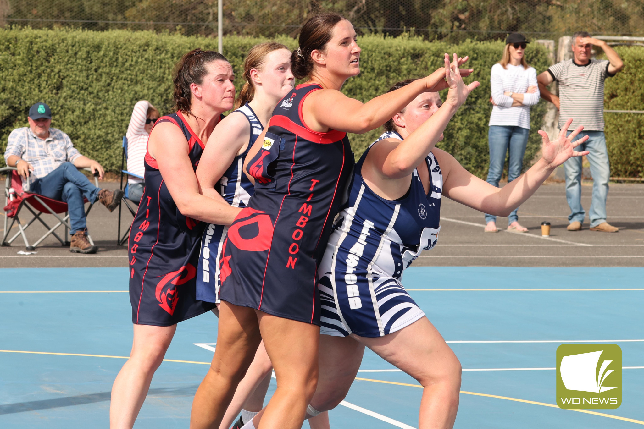 Local Netball Action - feature photo