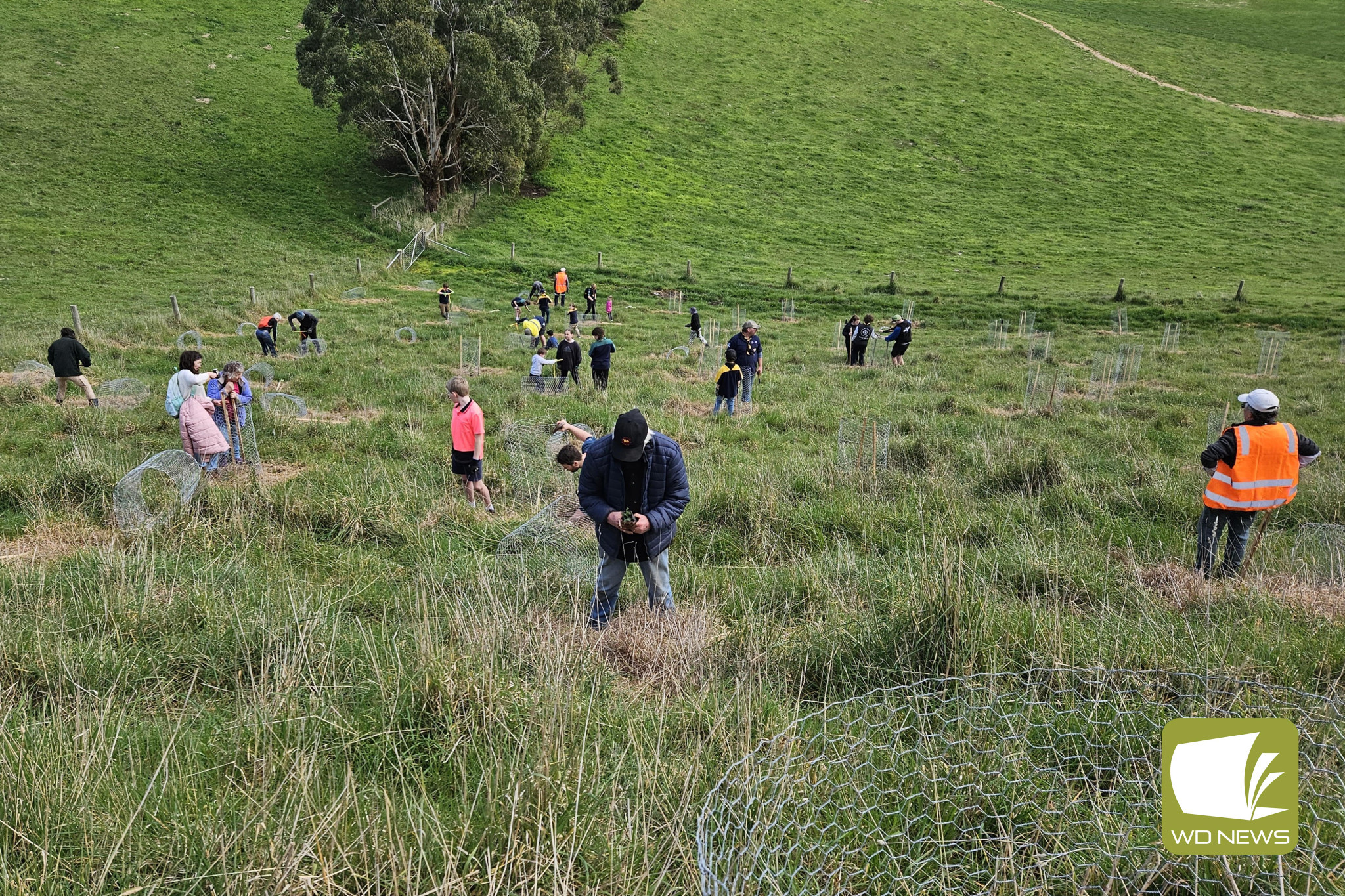 Increasing species diversity: Community members are invited to join the Mount Leura and Mount Sugarloaf Management Committee for a tree planting day on Sunday.