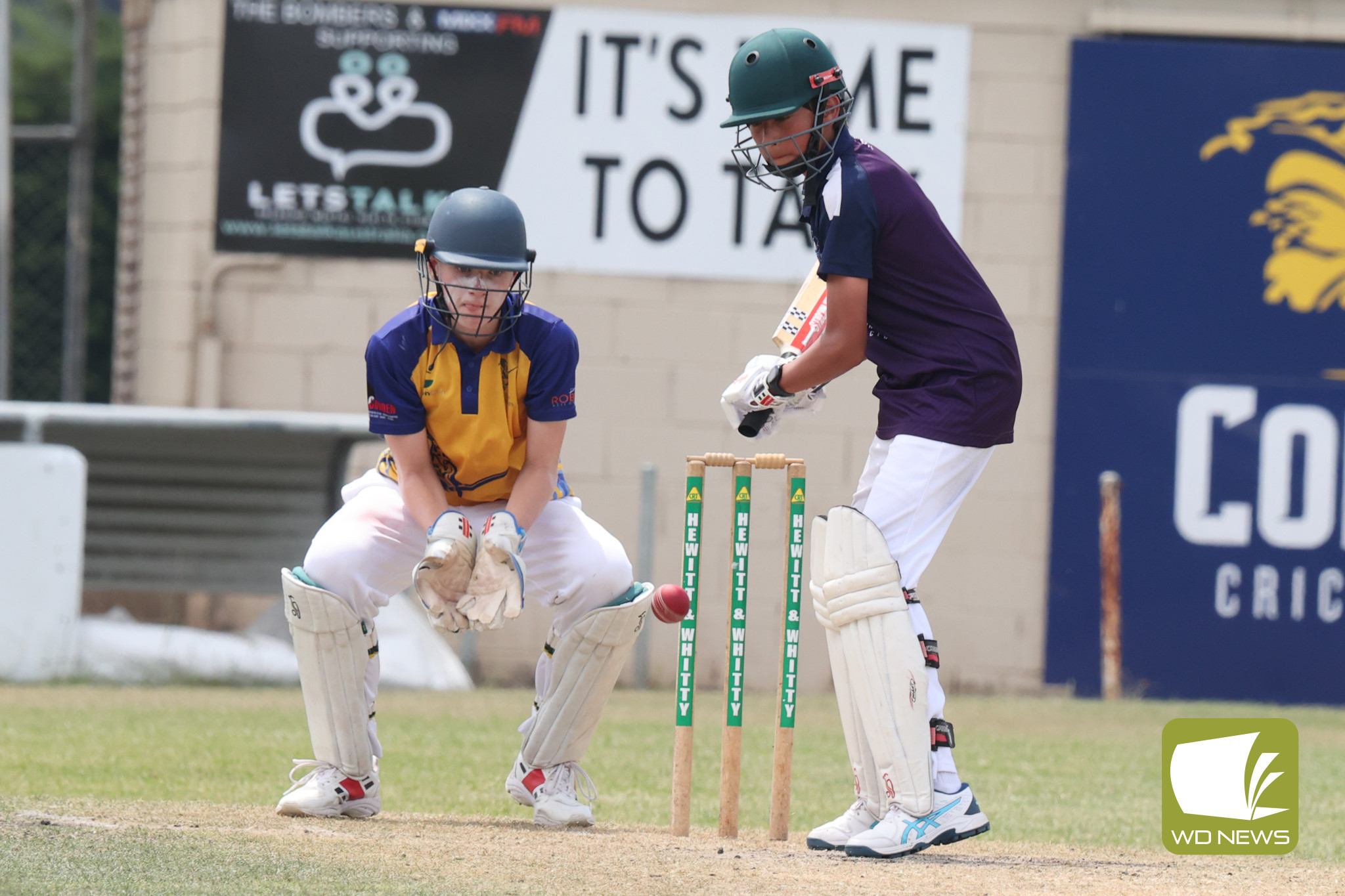 Local Cricket Action - feature photo