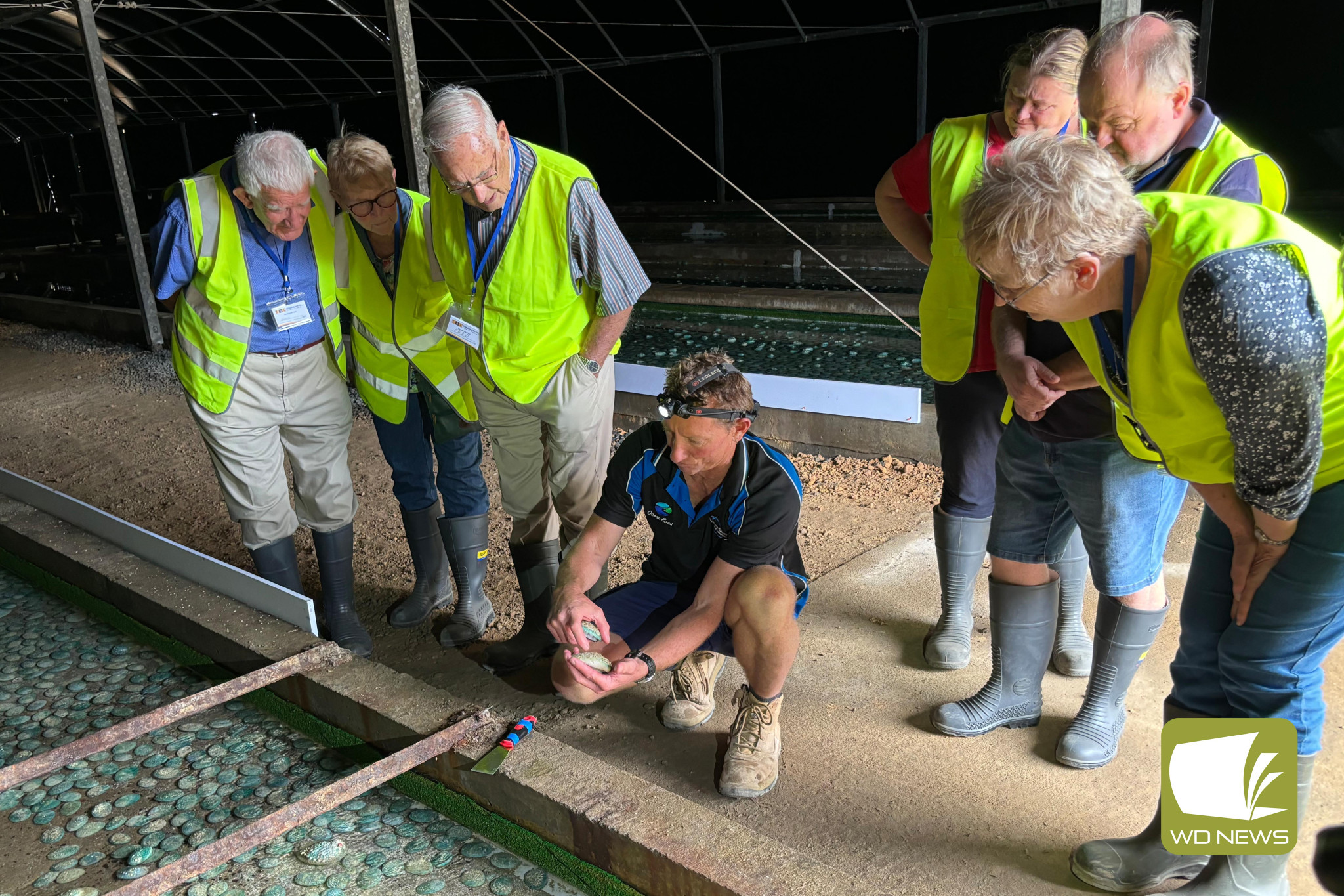 U3A Corangamite members went on a tour of the Ocean Road Abalone Farm in Port Fairy.