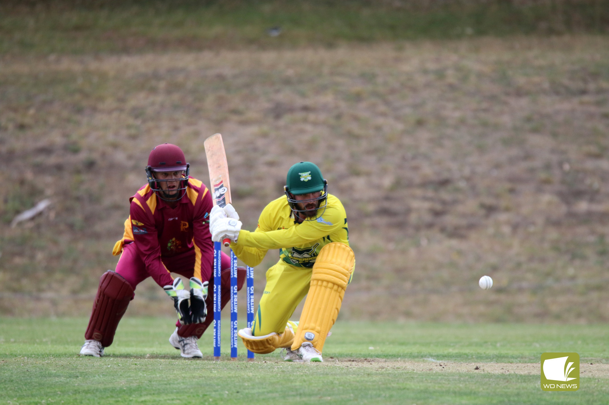 Local Cricket Action - feature photo