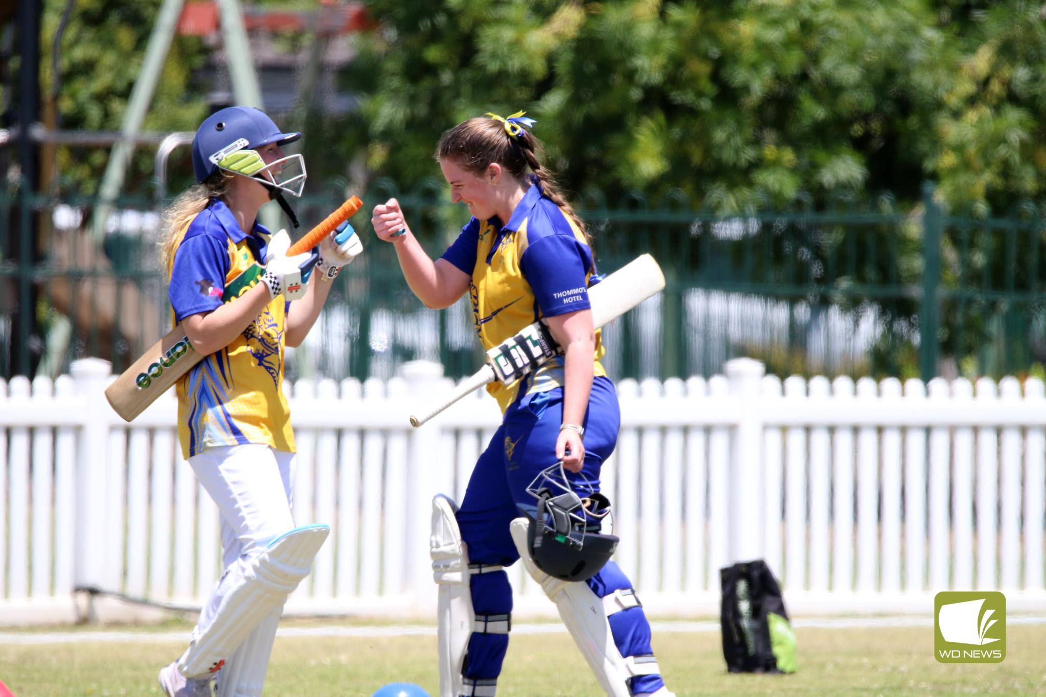 Local Cricket Action - feature photo