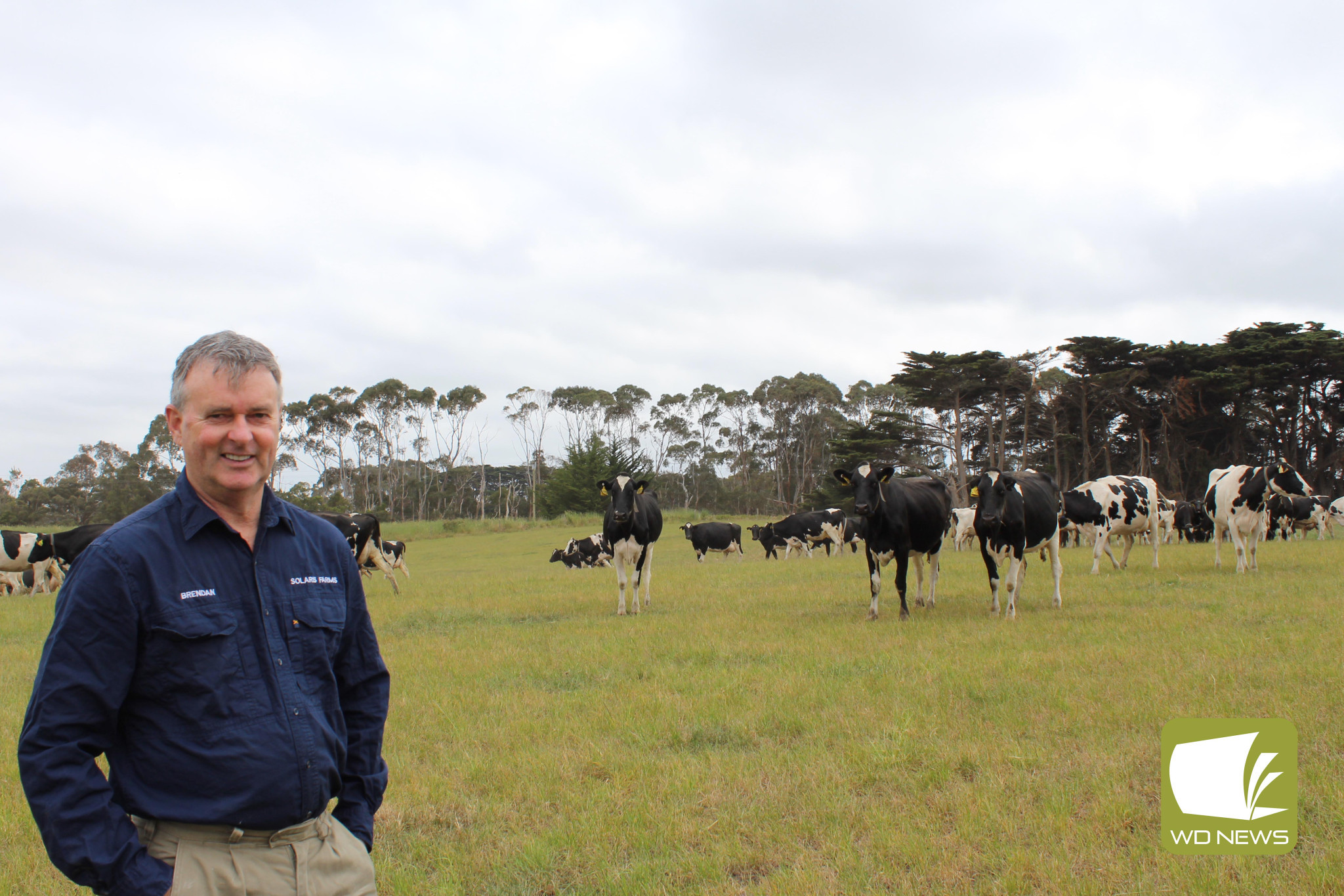 Call to contribute: WestVic Dairy board chair Brendan Rea has put out a call for applications with four director positions open on the board.