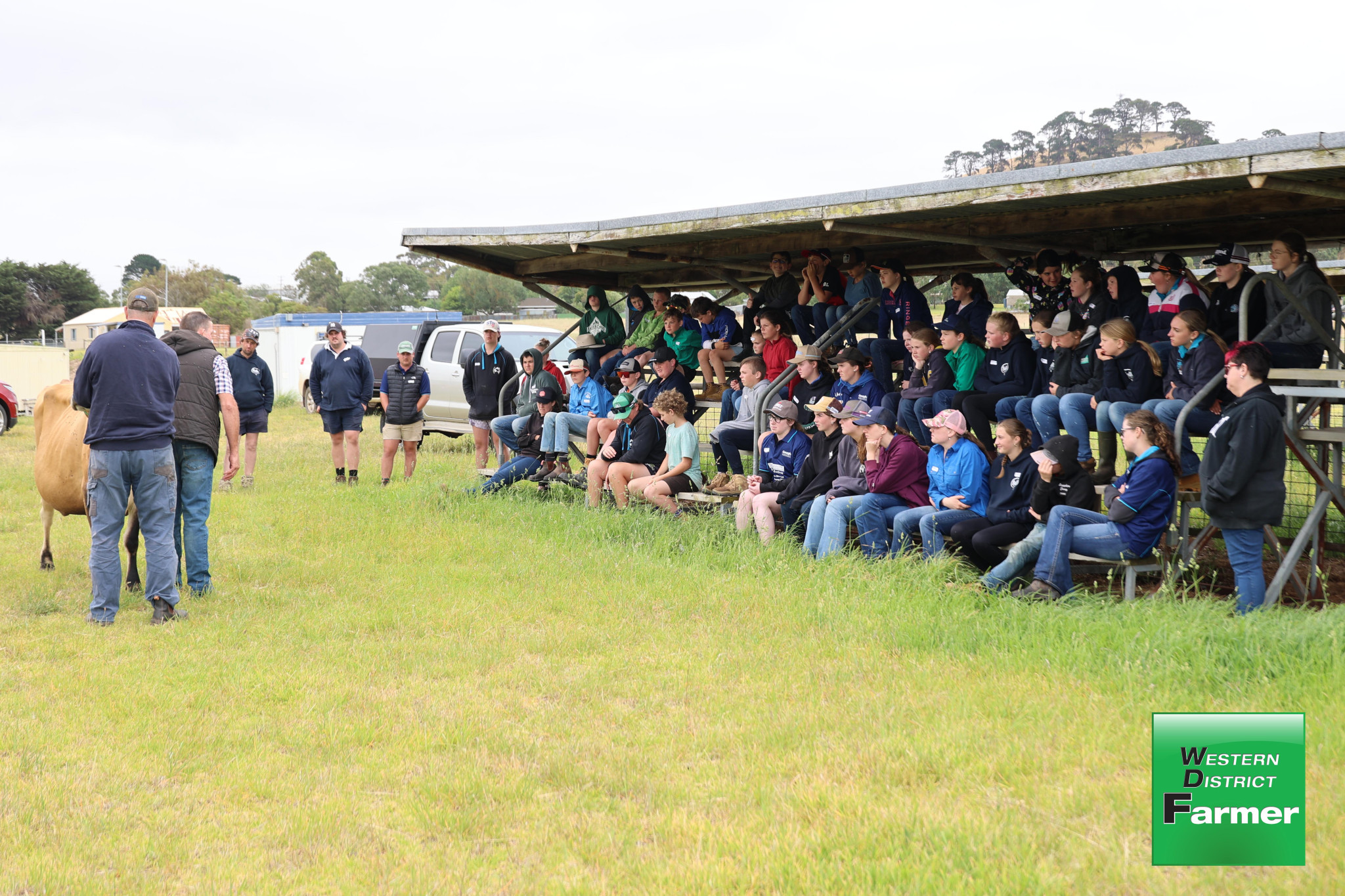 Youth camp introduces young people to dairy industry - feature photo