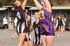 open-netball-18.jpg