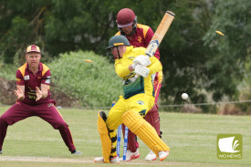 pomborneit-v-camperdown-17.jpg