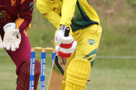 pomborneit-v-camperdown-2.jpg