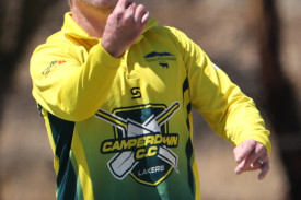 pomborneit-v-camperdown-3-1738813613.jpg