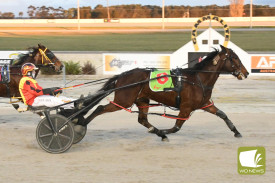 Browniesatmidnight crosses the finishing post in the Terang Co-Op Mitre 10 Pace. Photo courtesy of Claire Weston Photography