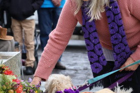 A wreath was laid paying tribute to the animals which have assisted military operations.