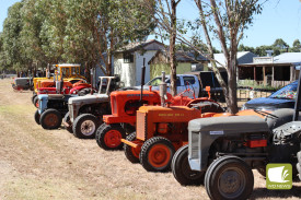 A variety of tractors of all descriptions were lined up at the rally park.