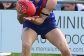 senior-footy-4-1726632051.jpg