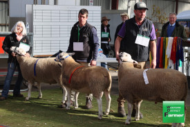 sheepvention-1.jpg