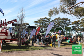 sheepvention-11.jpg