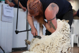 sheepvention-15.jpg