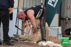 Roger Mifsud competes in the shearing competition.